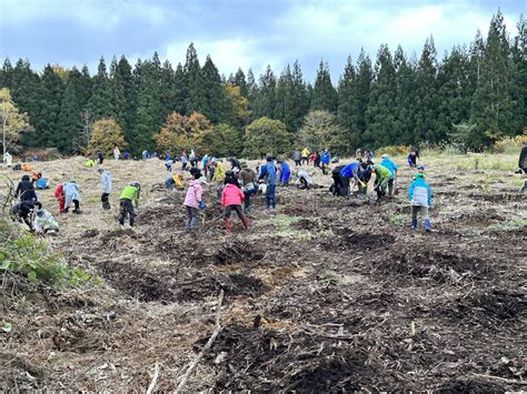 荒棄採石場|砕 跡地 に植栽 した 広葉樹4樹種 の 清水